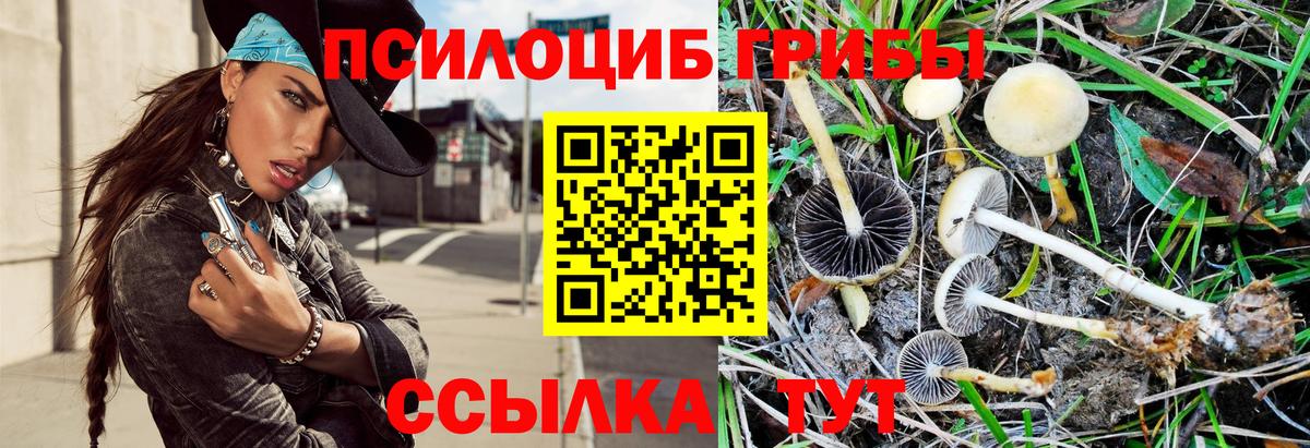 Кимры  Псилоцибиновые грибы Magic Shrooms  Вход с VPN 