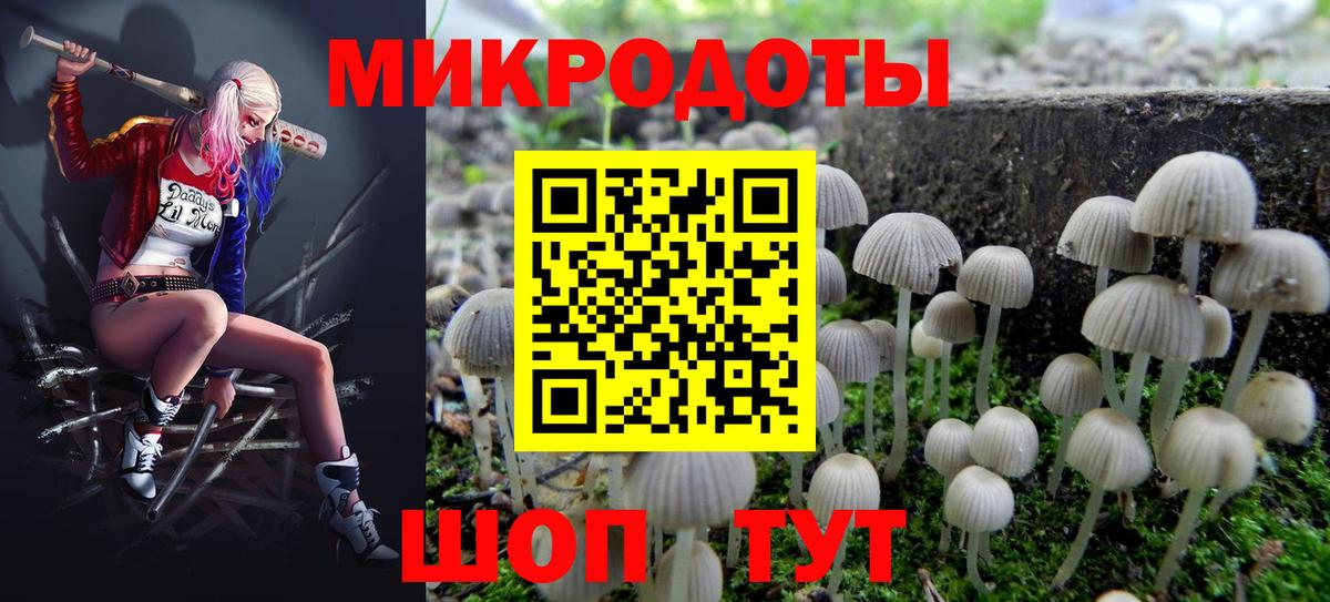 Галлюциногенные грибы Psilocybe Кимры